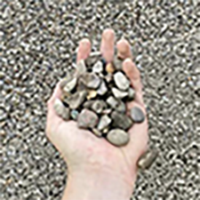 58PG-Decorative Pea Gravel 5/8 inch Landscape Gravel. Ideal-Supplies-58PG-Decorative Pea Gravel 5/8 inch Landscape Gravel.