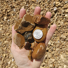 DB Dixie Blend Landscape Gravel. Ideal Supplies DB Dixie Blend Landscape Gravel