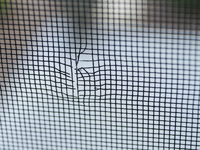 Bring in your screen to get evaluated by our trained staff for a screen repair.